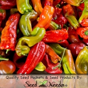 Package of 100 Seeds, Anaheim Chile Pepper (Capsicum annuum) Non-GMO Seeds by Seed Needs