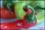 50+ Cayenne Pepper Seeds- Large Red Thick- Heirloom Variety