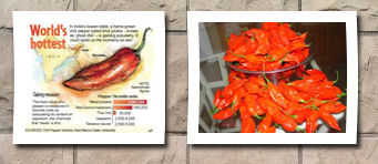 Seeds and Things 10 plus ghost chili pepper seeds