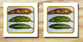 Everwilde Farms Inc. 1 lb hot pepper seeds 'anaheim chile' bulk vegetable seeds