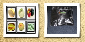 Heirloom Fruit Seeds survival seeds heirloom non hybrid no gmo real survival seeds. honeydew green melon, banana melon,honey rock cantaloupe,watermelons crimson sweet,sugar baby watermelon,hales best jumbo melon. step by step planting, harvesting & saving your seeds ins