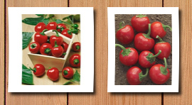 Seeds Direct 10 cherry bomb red hot chile pepper seeds